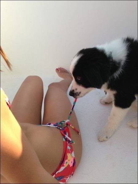 Daily Picdump