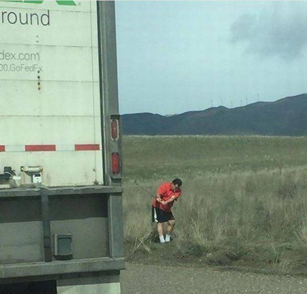 Daily Picdump