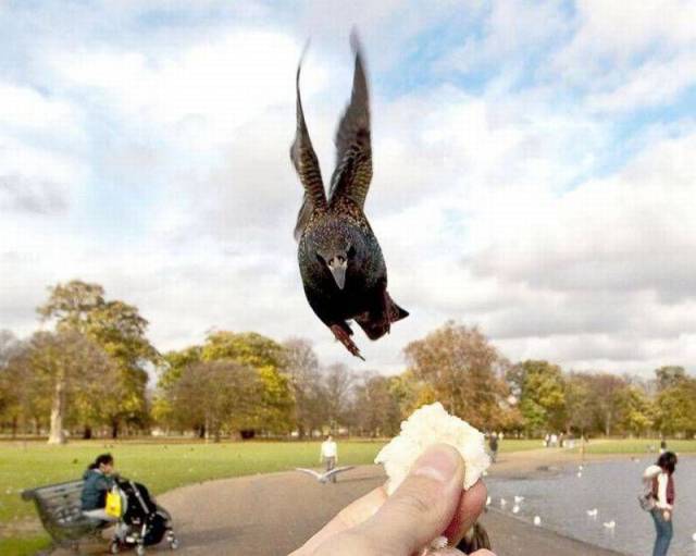 Daily Picdump