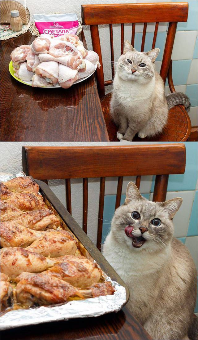 Content Image