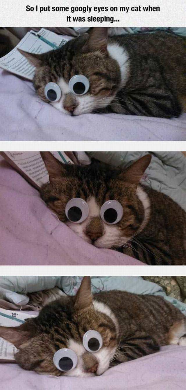 Content Image
