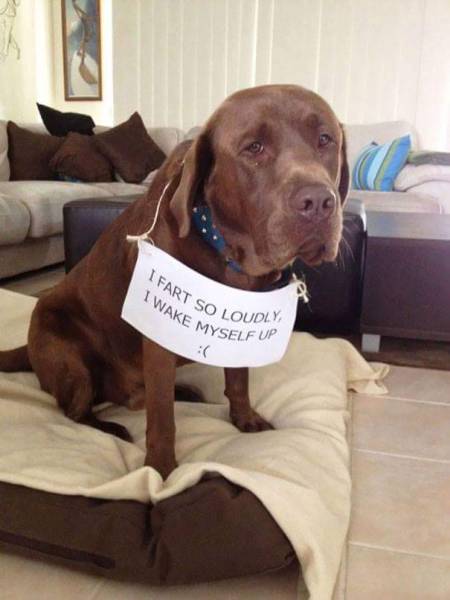 Morning Picdump