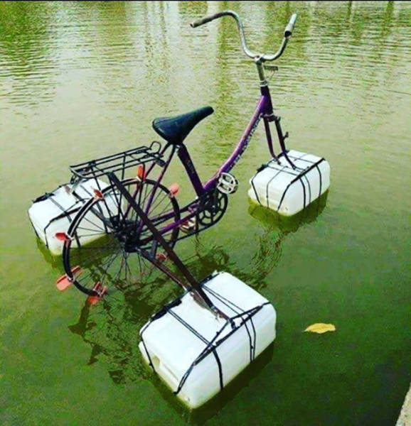 Content Image