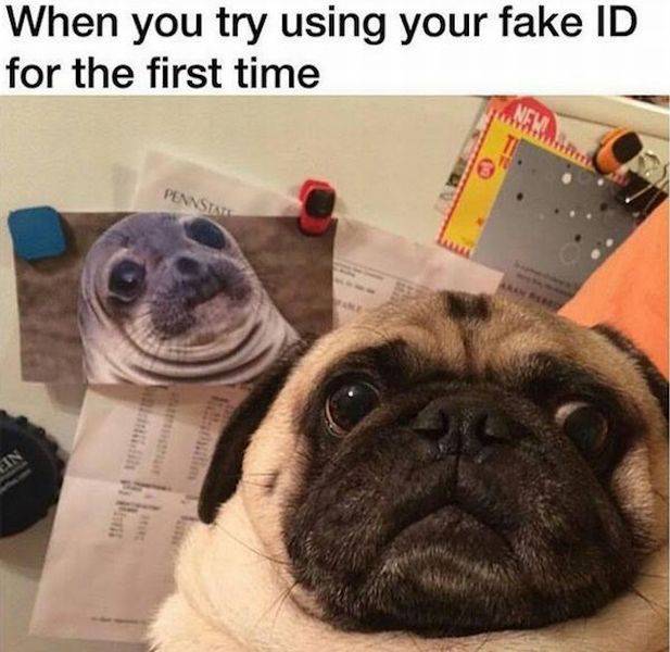 Daily Picdump
