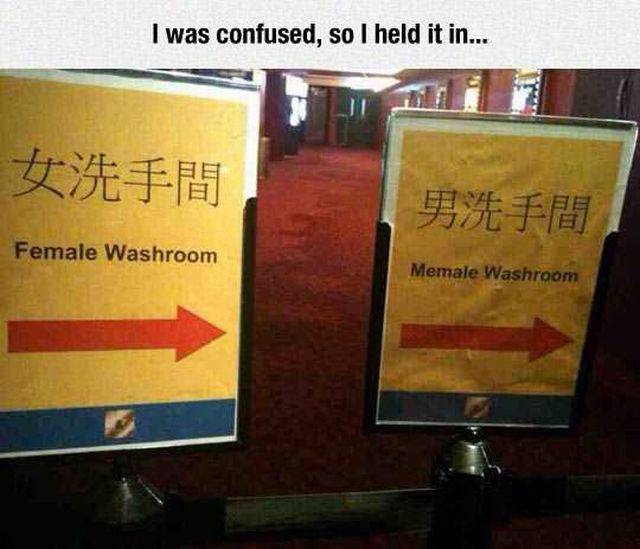 Daily Picdump
