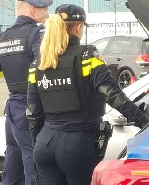 Morning Picdump