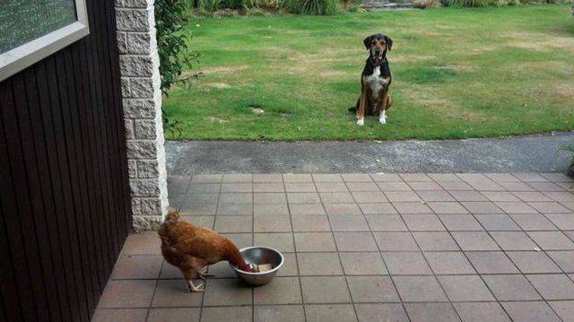 Daily Picdump