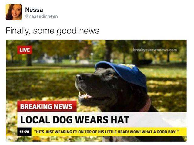 Content Image
