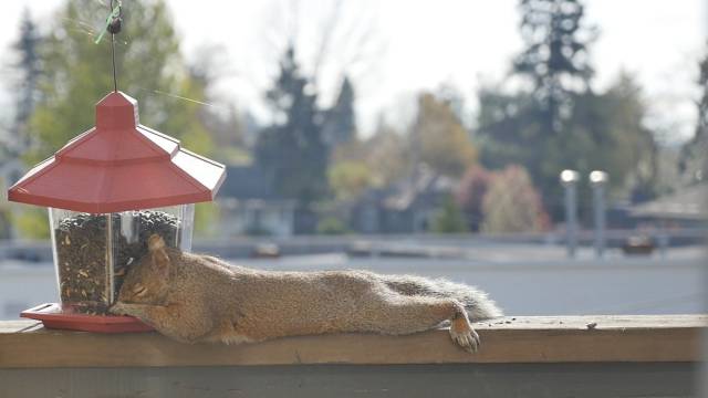 Morning Picdump