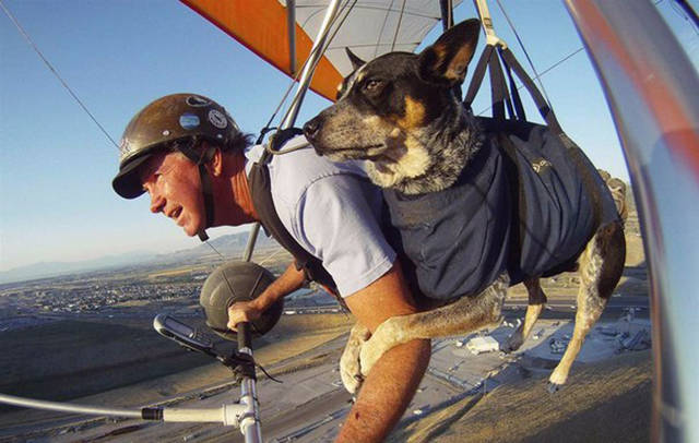 Fascinating Photos That Speak For Themselves