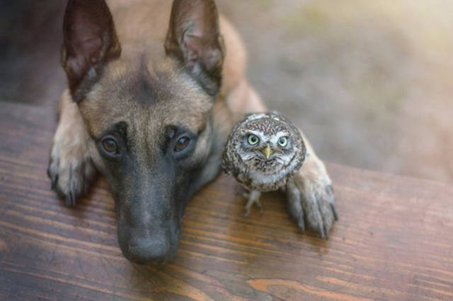 Fascinating Photos That Speak For Themselves