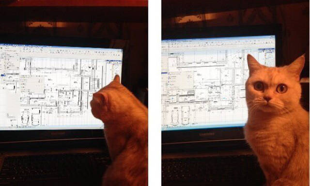 Funny Picdump