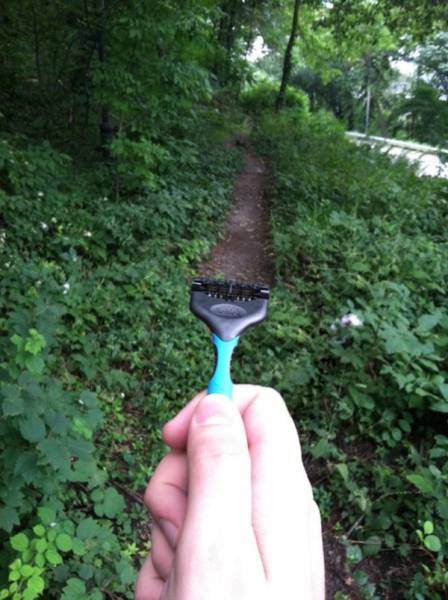 Morning Picdump