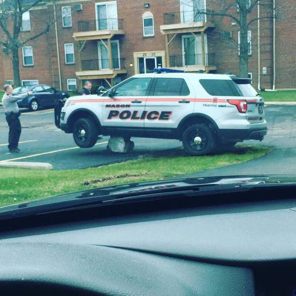 Morning Picdump