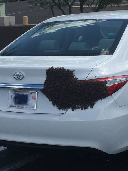 Sometimes the Only Question is WTF?