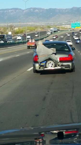 Sometimes the Only Question is WTF?