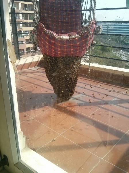 Sometimes the Only Question is WTF?