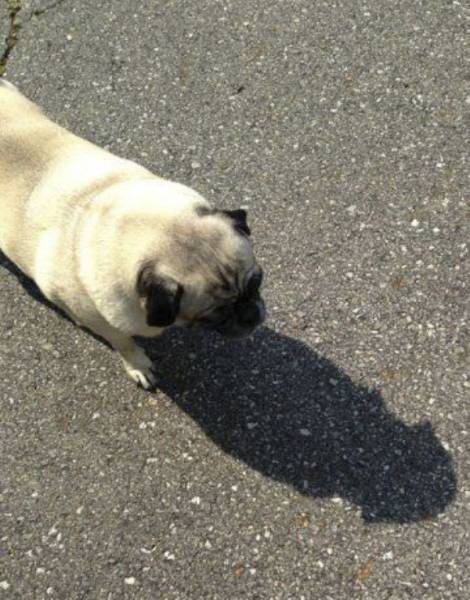 Shadows Can Make Photos Really Naughty