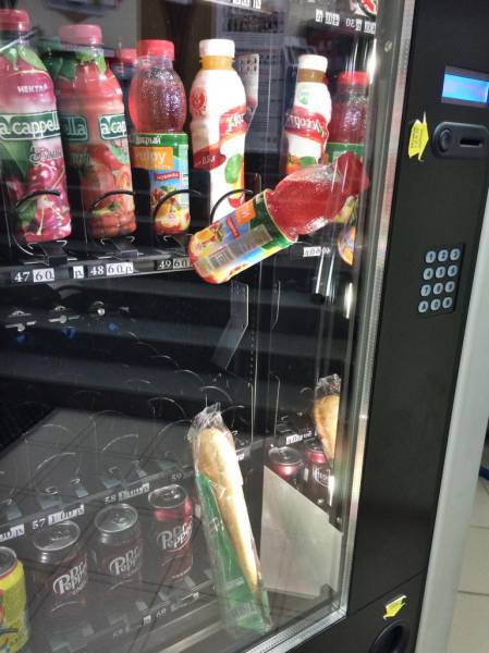 Morning Picdump