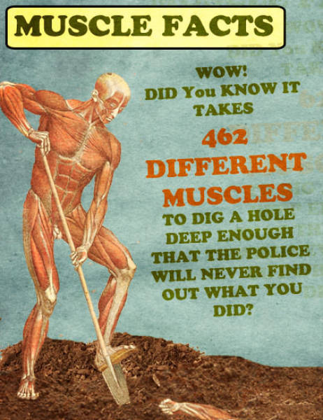 Funny Picdump