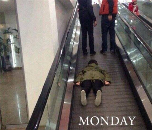 Funny Picdump