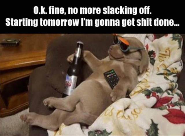 Funny Picdump