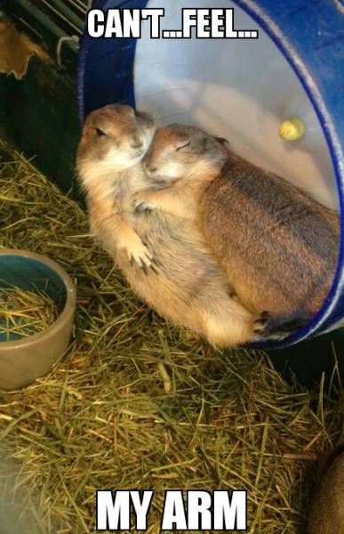 Funny Picdump