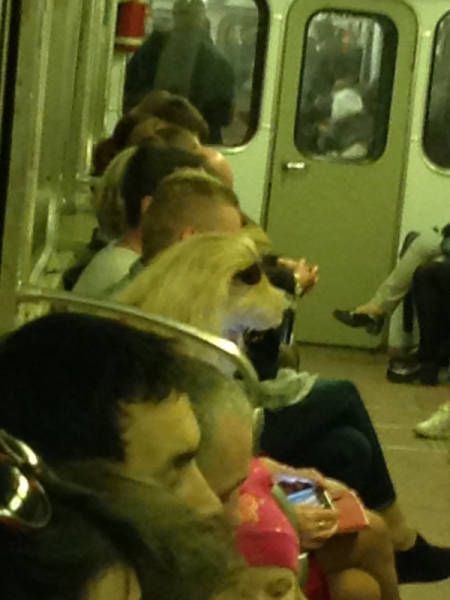 Morning Picdump