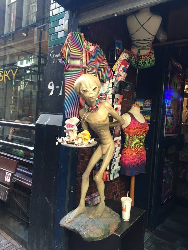 Morning Picdump