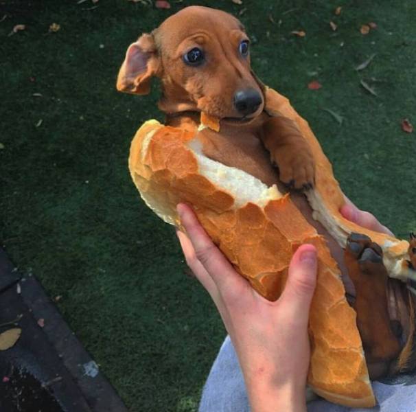 Morning Picdump