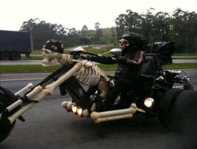 Content Image