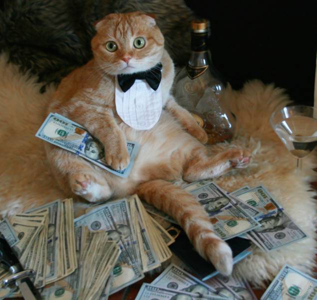 Content Image