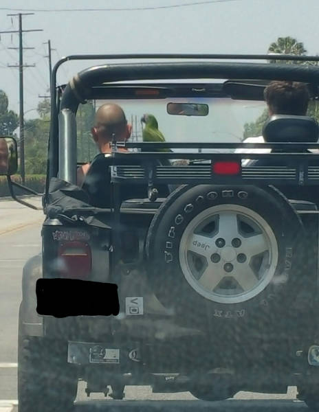 Content Image