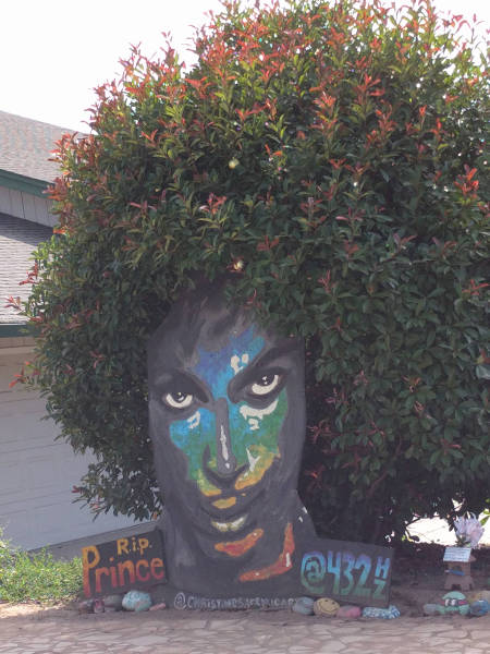 Content Image
