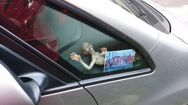 Morning Picdump
