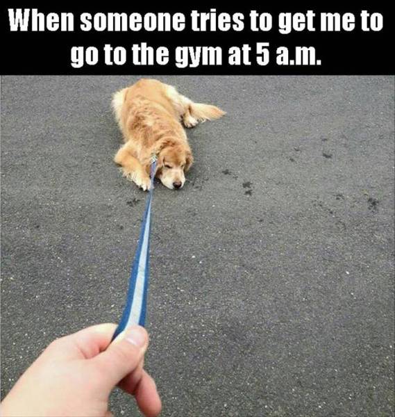 Funny Picdump