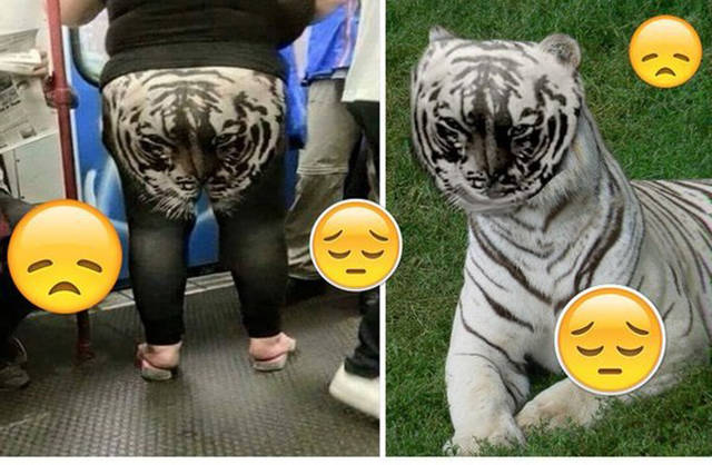 Funny Picdump