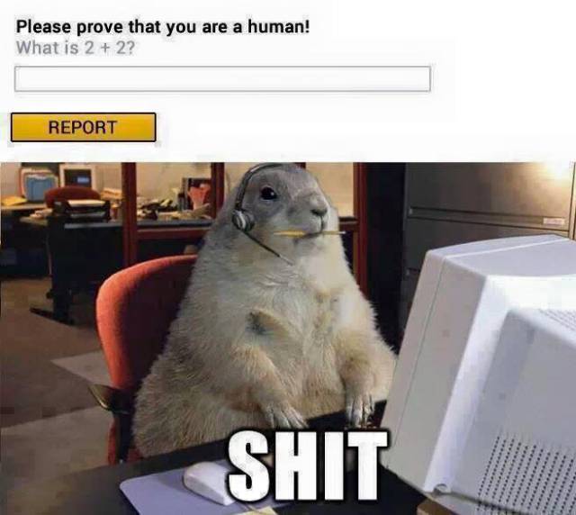 Content Image