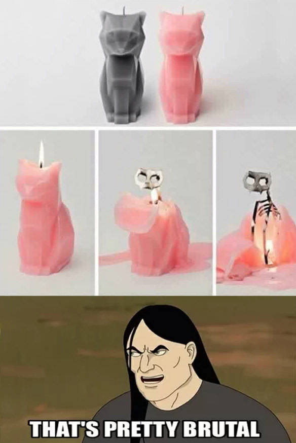 Funny Picdump