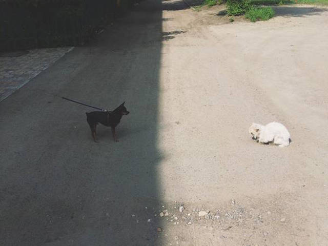 Morning Picdump