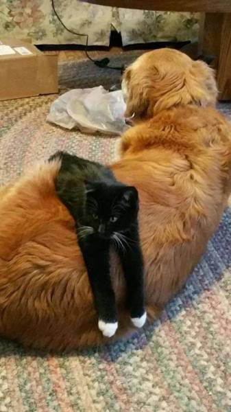 Morning Picdump