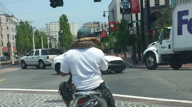 Morning Picdump