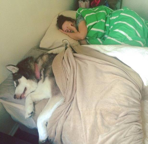 Morning Picdump