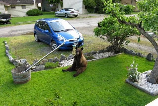 Morning Picdump