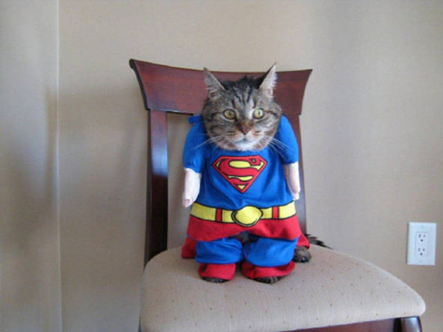 Content Image