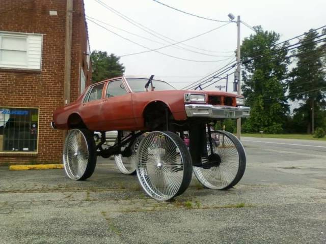 Morning Picdump