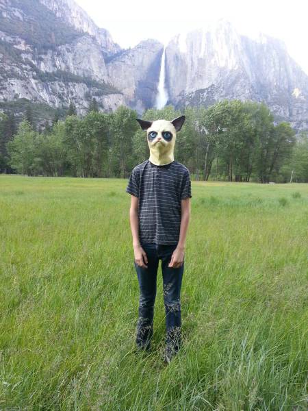Content Image
