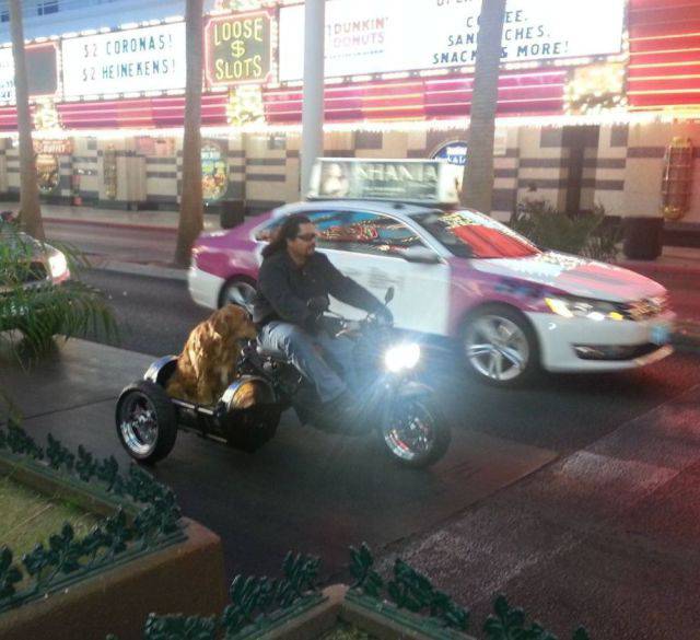 Content Image