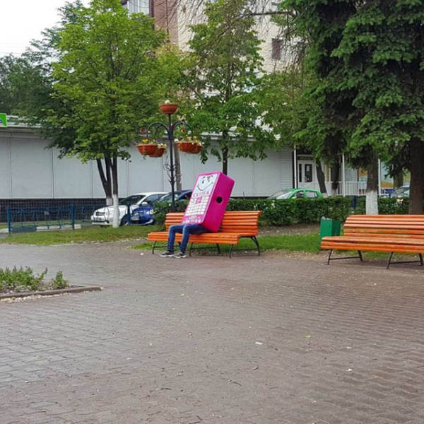 Morning Picdump