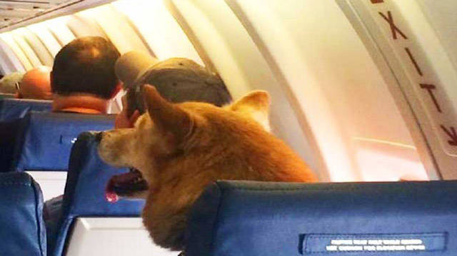 Morning Picdump
